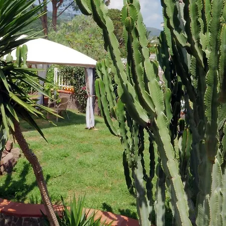 아파트호텔 Talia