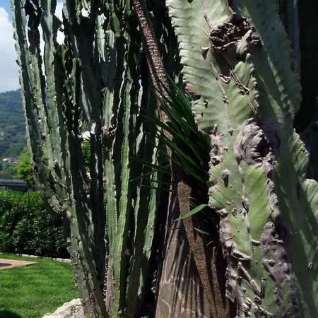 Talia 아파트호텔