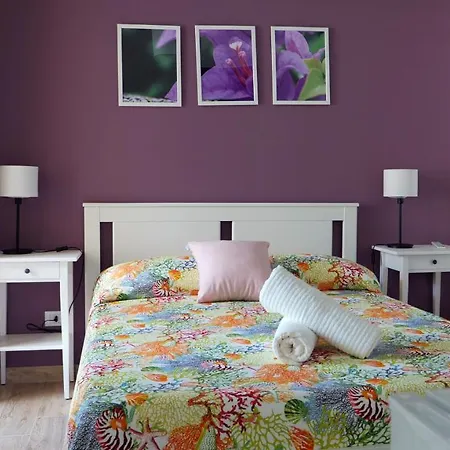 Talia 아파트호텔 4*